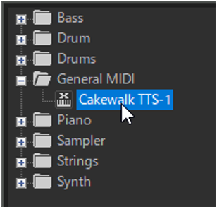 Cakewalk TTS-1
