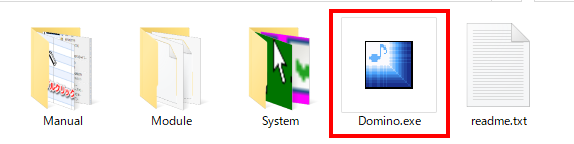 Domino.exe