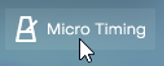 Micro Timing